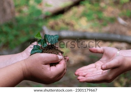 Hands that pass the earth into other hands