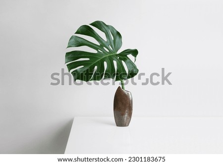 A leaf of Monstera deliciosa or Swiss Cheese Plant in a brown vase on a light background, minimal creative home decor concept Royalty-Free Stock Photo #2301183675