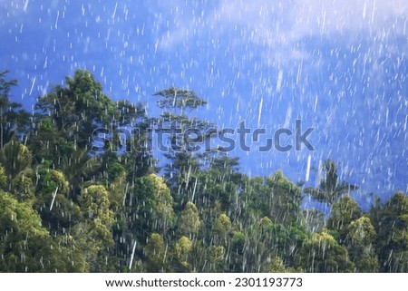 rain asia green, background downpour rainy season typhoon