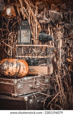 Still life of old things with crow, lantern and Pumpkin. Happy Halloween concept. Dark background