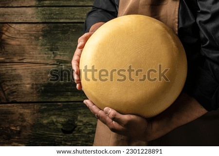 emmental semi-hard cheese with big holes on a wooden background, banner, menu, recipe place for text, top view, Royalty-Free Stock Photo #2301228891