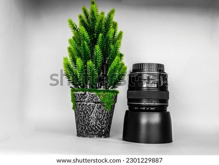 Lens on the background of green plant background texture