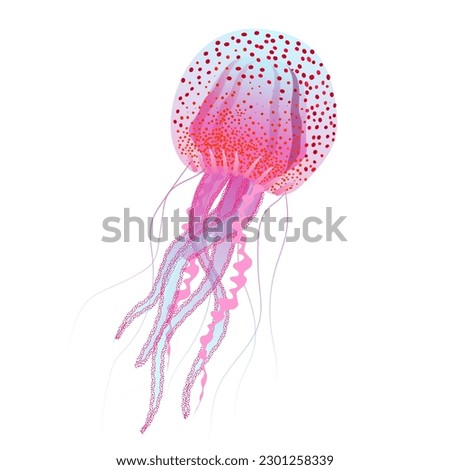Jellyfish isolated on white background. Vector illustration.