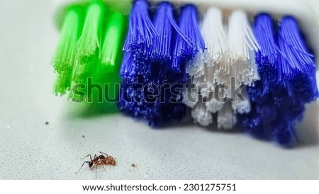 Toothbrush and ants on the floor in the macro lens photo.