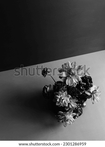 Grayscale image of dahlias and ranunculus flowers