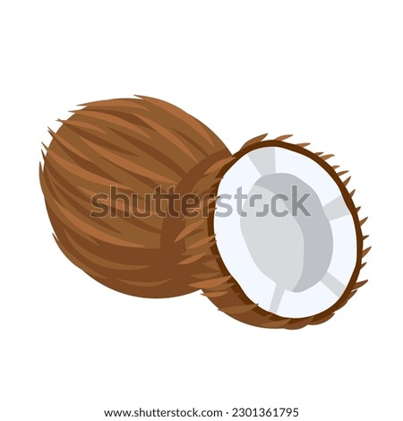 Coconut icon isolated on white background. Cartoon style. Vector illustration