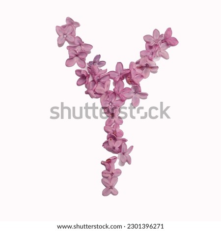 The letter  Y made of lilac flowers.  Square photo with white background.
