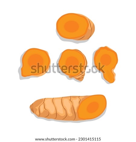 Vector illustration of fresh turmeric. Yellow spice turmeric whole, slices, powder and green leaf. Herb plant Royalty-Free Stock Photo #2301415115