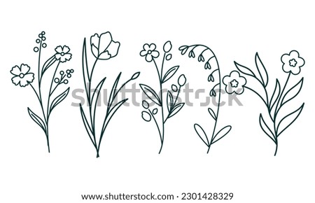 Floral ornamental element pack vector