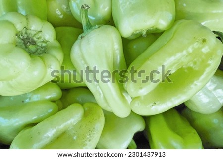 Close-up on a stack of White sweet pepper (aka: Sweet Slávy) for sale on a market stall.