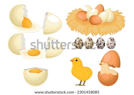 Vector set of farm eggs. The concept of cooking and fresh food. Chicken yolk and protein. A beautiful element for your design.