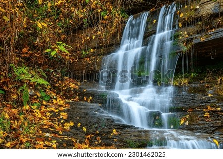 Devils Den waterfall, tributary of Elk River in Webster County, West Virginia, USA Royalty-Free Stock Photo #2301462025