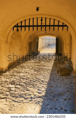 vintage entrance with arch. architectural element Royalty-Free Stock Photo #2301486335