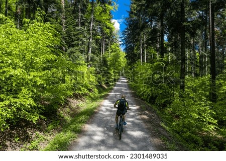 Man on mtb bike ride trough lush forest at spring, aerial drone view