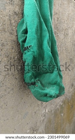 Broken sock's photo. Ball socks. Green socks.