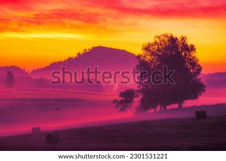 Sunset landscape with standing tree, nature photography and digital editing