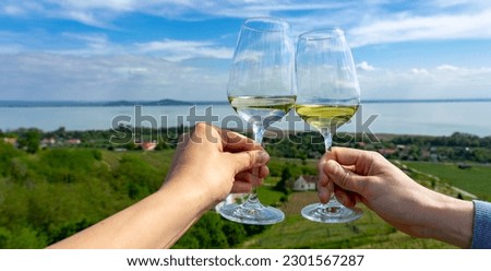 romantic celebratory toast with wine glasses in a Vineyard wine garden at Lake Balaton in Baracsony Hungray with beautiful view panoramic .