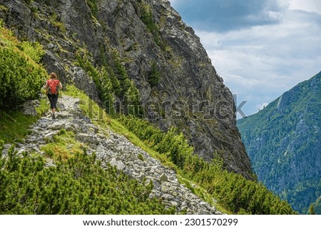 Hiker young woman on a forest path.