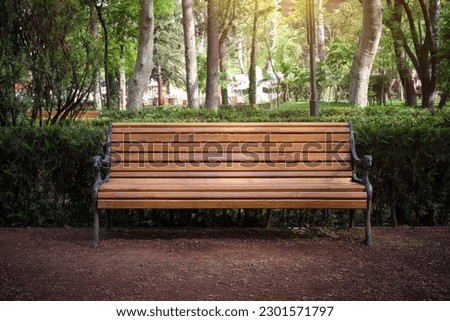 A beautiful wooden decorative bench in a city park against the backdrop of trees.