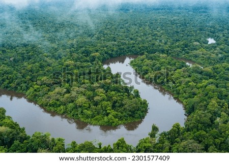 Winding river in the amazon jungle. Royalty-Free Stock Photo #2301577409