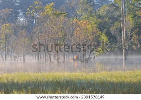 
Foggy Autumn Morning With Beautiful Vibrant Warm Colours.
