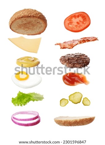 Collage with ingredients for burger on white background