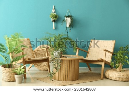 Cozy wicker armchairs, coffee table and houseplants near blue wall