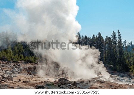 Steamboat geyser steam, Yellowstone national park, Wyoming, USA. Royalty-Free Stock Photo #2301649513