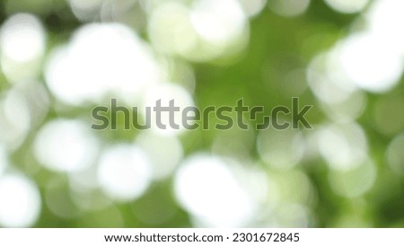 bokeh nice foliage nature green tree, Bright morning sunshine sparkling and bursting through blurry summer green foliage of blooming background
