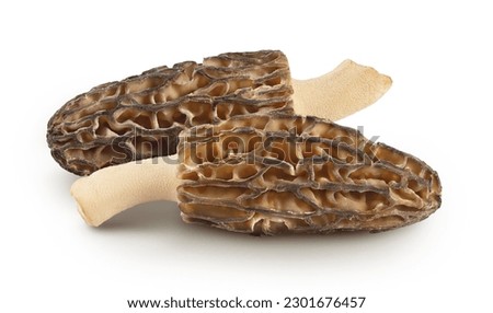 raw morel mushroom isolated on white background with full depth of field Royalty-Free Stock Photo #2301676457