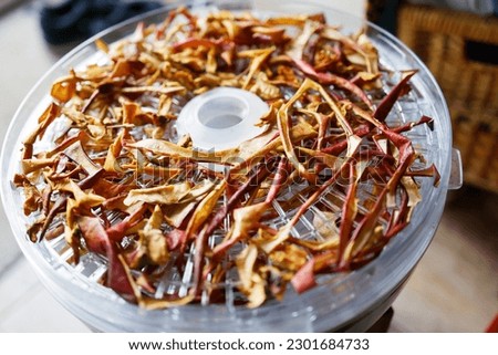 Drying Slices and Pieces of an Apple using a Dehydrator