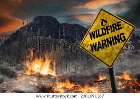 Wildfire warning sign against a forest fire background with burnt trees and vegetation landscape. Dirty and angled sign adds to the drama.
