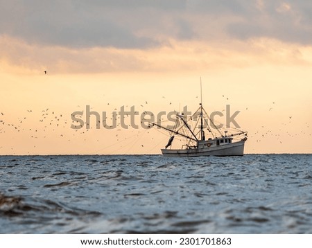 shrimp boat on the water during sunrise surrounded by birds Royalty-Free Stock Photo #2301701863