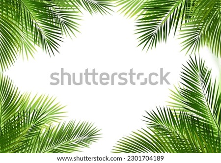 Tropical Palm Leaves Frame Isolated White Background