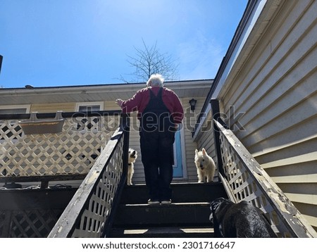 An elderly lady standing atop a staircase with two west highland terriers.