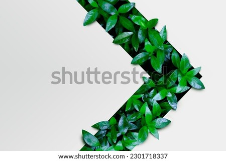 Green leaves texture in the form of an arrow. Mockup for natural and organic products. Natural design, background and wallpaper Royalty-Free Stock Photo #2301718337
