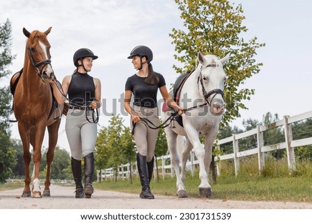 Two beautiful horses with female jockeys, walking side by side along a path near the equestrian farm fields Royalty-Free Stock Photo #2301731539