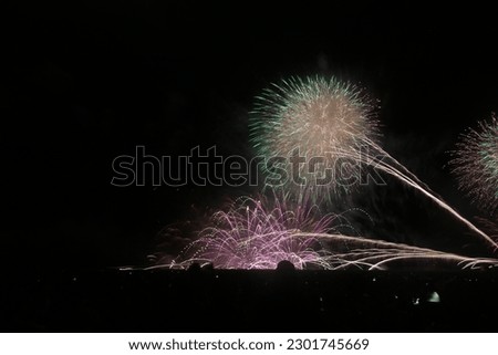 Kashiwazaki Sea big Summer Fireworks