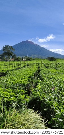Beautiful view of Kerinci Mountain, Kerinci, Jambi, Indonesia