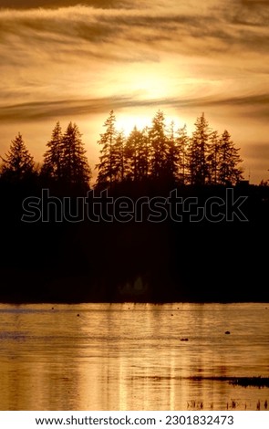 Burnaby Lake at sunset, Burnaby, BC, Canada