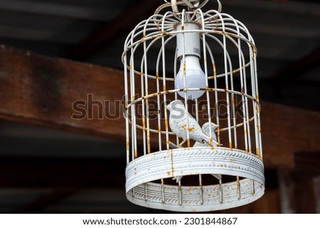 The old steel bird cage lamp