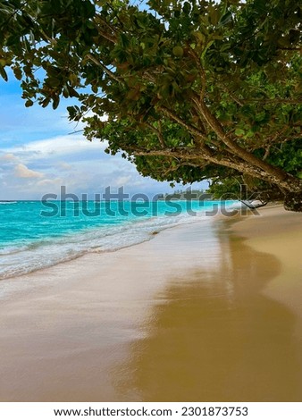 Beautiful reflection on a sandy beach on Silhouette island, Seychelles