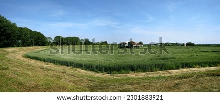 Brescello  (Re), Italy, a landscape of the countryside in the floodplain of the river Po