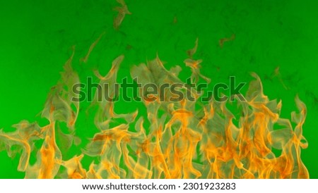 Fire flames isolated on green screen background