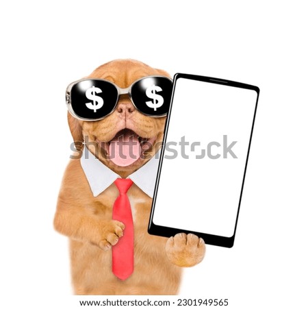 Smart Mastiff puppy wearing necktie and sunglasses with dollars sign holds big smartphone with white blank screen in it paw. isolated on white background