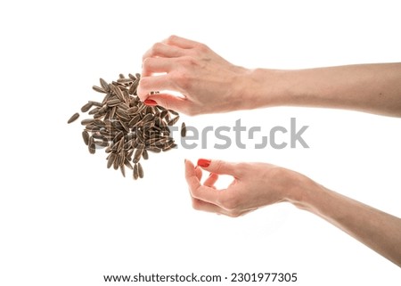 Female hand sunflower seeds on a white background isolation. High quality photo