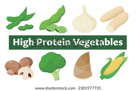 Vector illustration of vegetables rich in protein.