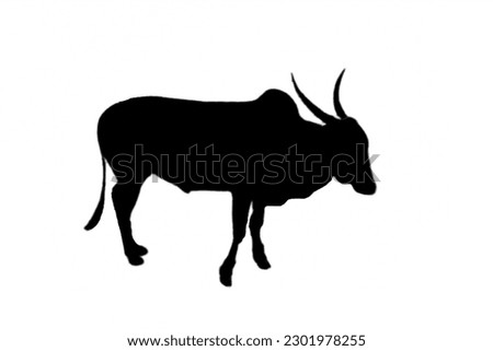 Two cows silhouette walking, mother and cub. Cow set. Cow black silhouette isolated on white. Hand drawn vector illustration.