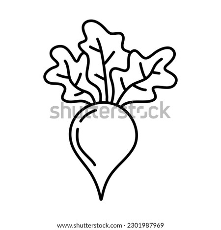 Turnip hand drawn outline doodle icon. Vector sketch illustration of healthy vegetable, raw turnip for print, web, mobile and infographics isolated on white background. Royalty-Free Stock Photo #2301987969