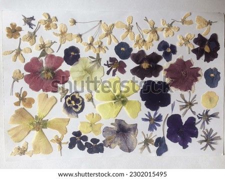 Assorted flowers isolated on white